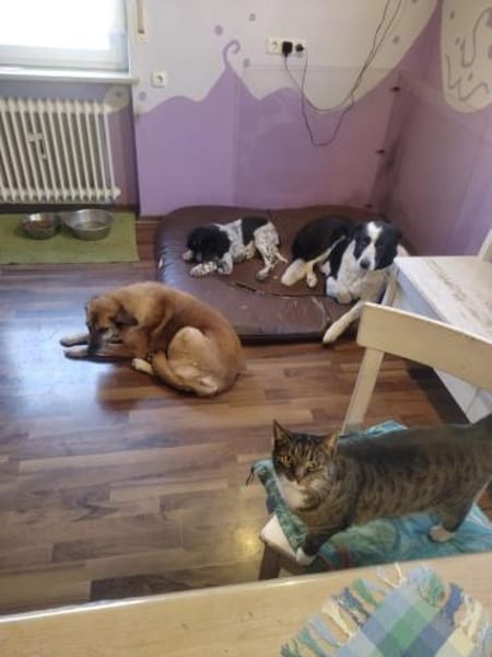 ❤Alfi-wird ein ganz Großer...