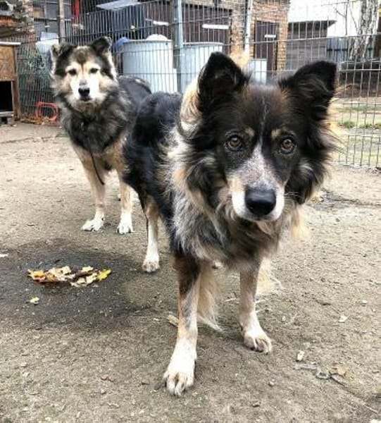 Liebe mal Zwei: Aponi & Chanel warten...