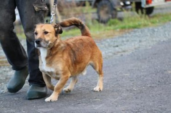 Sanjay - sehr verspielt u. kinderlieb