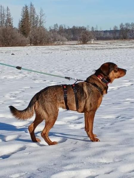 Zauberhafte fröhliche Jette