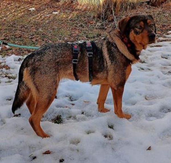 Zauberhafte fröhliche Jette