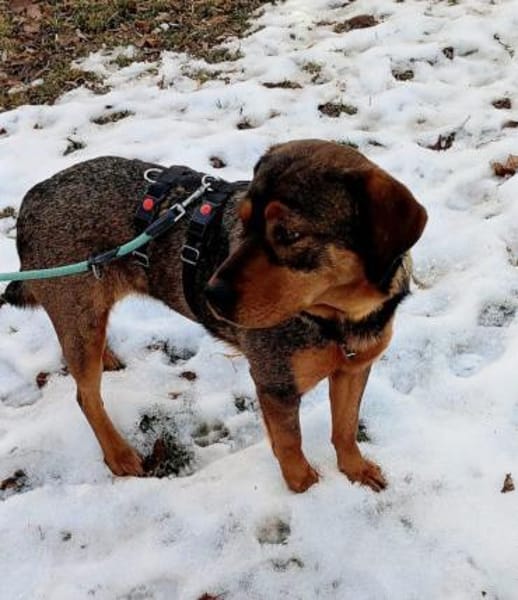 Zauberhafte fröhliche Jette