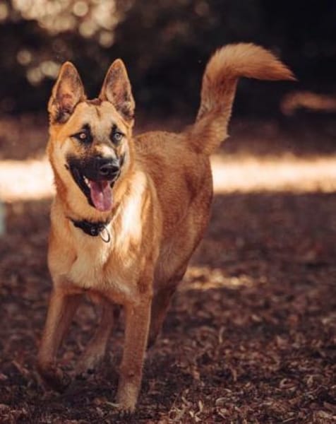 Moritz sucht aktive, erfahrene Menschen