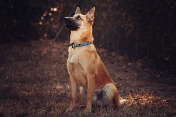 Moritz sucht aktive, erfahrene Menschen