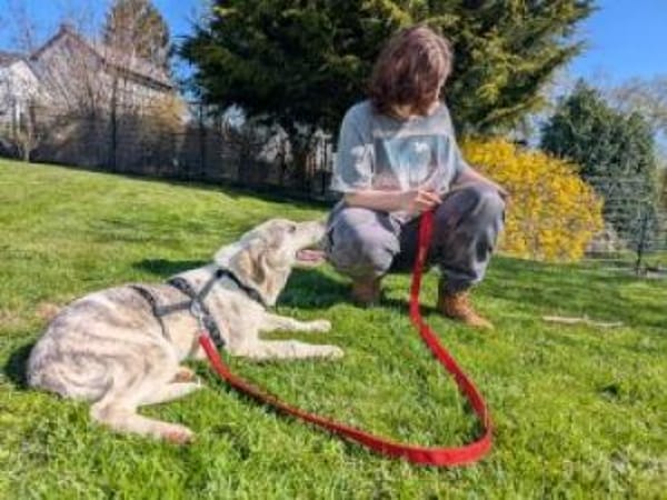 Lulu jetzt Luna 53 cm (Pflegestelle)