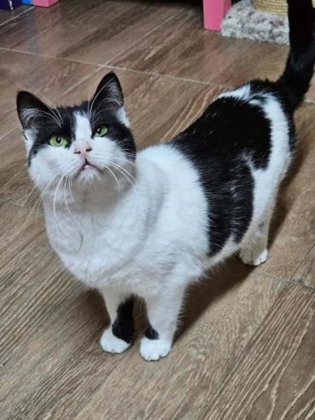 ROSI - SOS in 76835 Hainfeld!