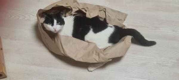 ROSI - SOS in 76835 Hainfeld!