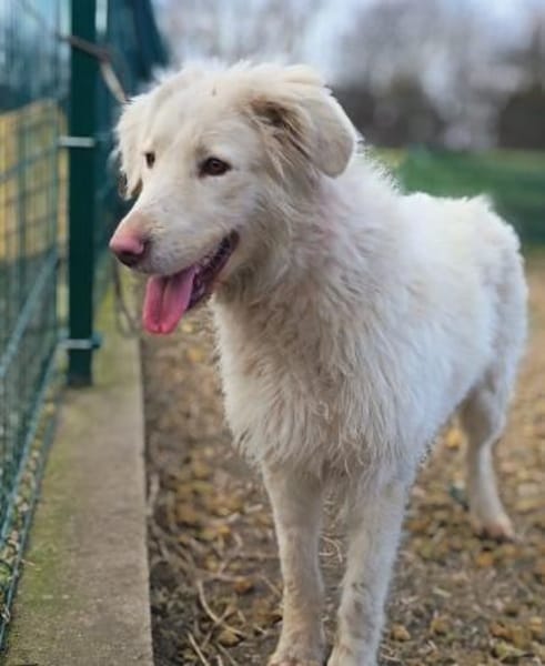 Queen ist eine Überlebende