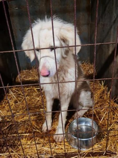 Queen ist eine Überlebende