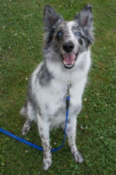 MALIN - sportlich&dynamisch