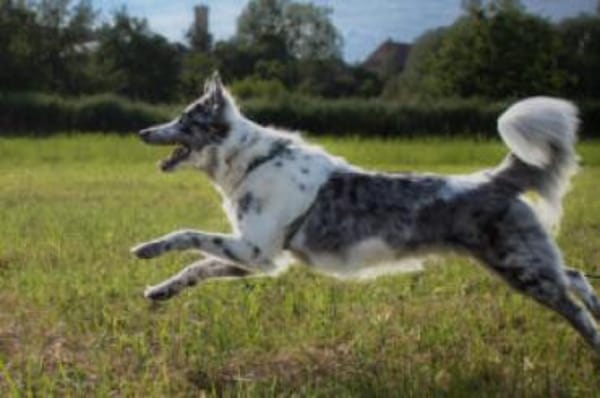 MALIN - sportlich&dynamisch