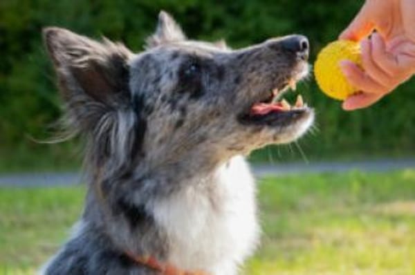 MALIN - sportlich&dynamisch