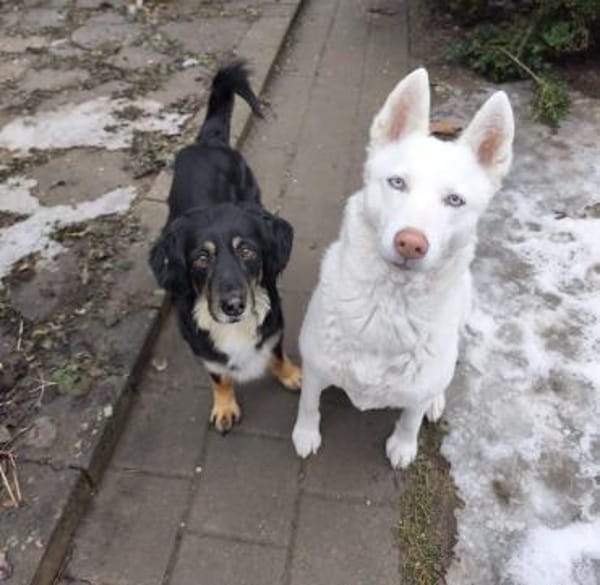 Kiara bereits auf PS in Bayern