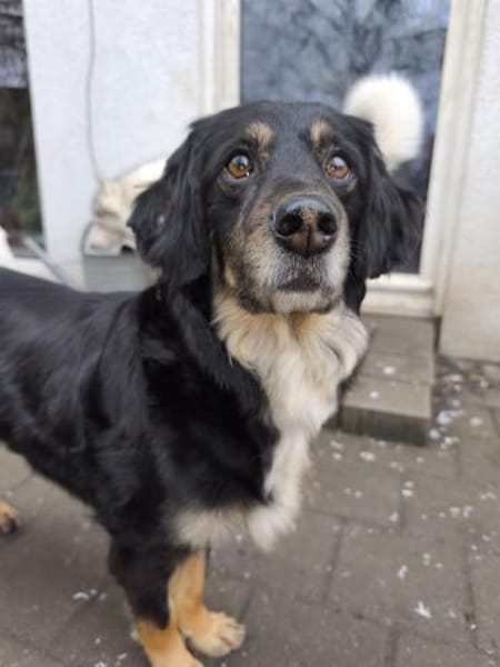 Kiara bereits auf PS in Bayern