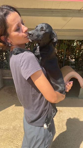 COLA  sozial und unbedarft