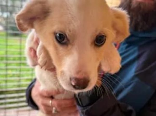 ALBA - einfach zum Verlieben