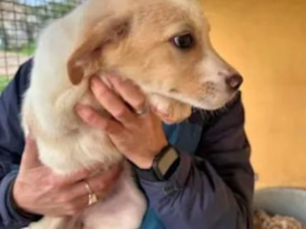 ALBA - einfach zum Verlieben