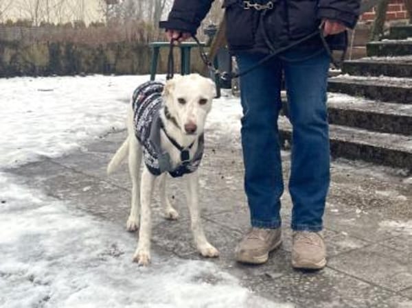 Pippa möchte Ihre Familie bereichern