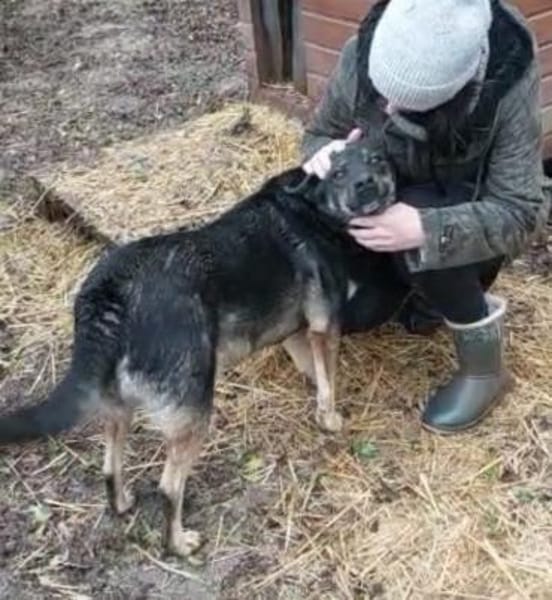 Kurti 50 cm (Pflegestelle)