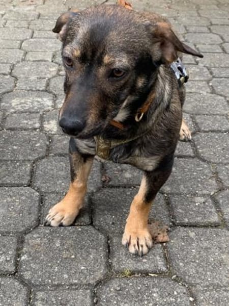 Yumi° 86529 Schrobenhausen