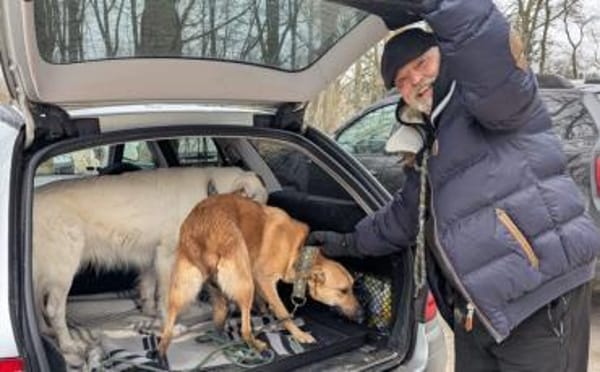 Wer öffnet sein Herz für Tamani ?