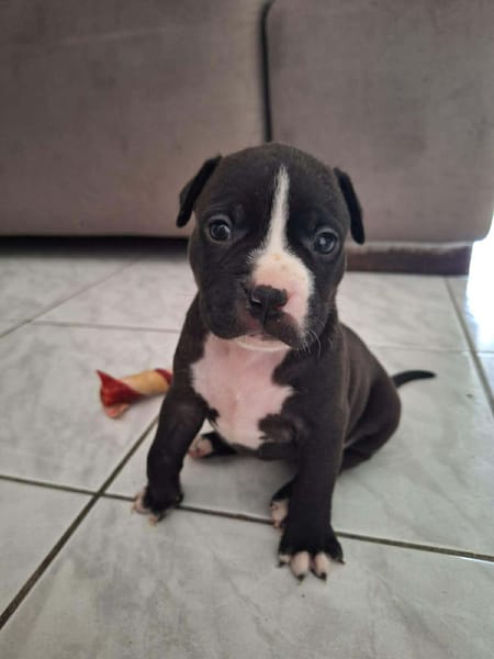 Bria, je suis encore un bébé