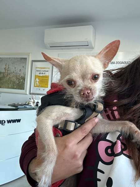 CHIQUITIN (101 huellas)