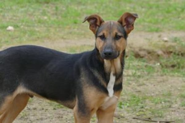 Bruce sucht seine Menschen