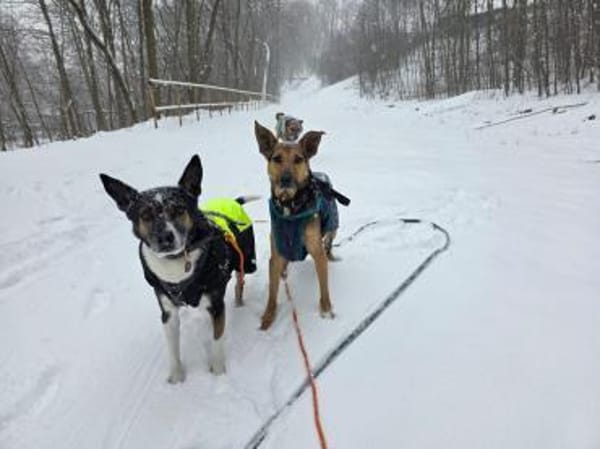 Bruce sucht seine Menschen