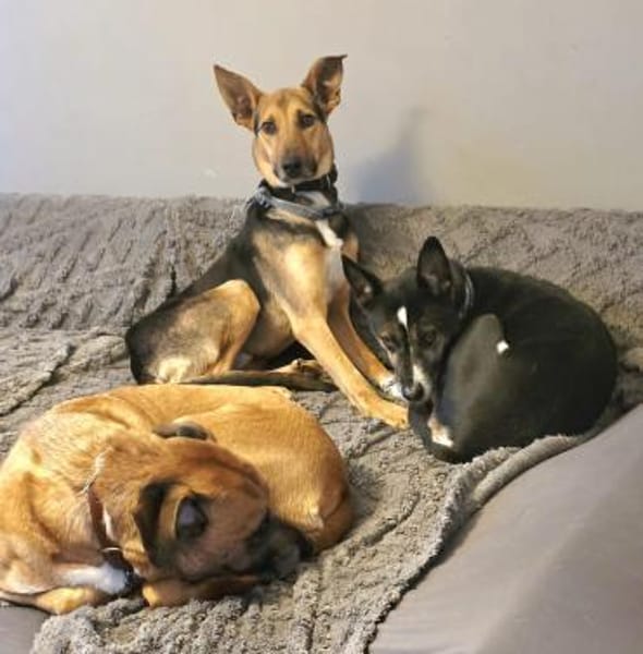 Bruce sucht seine Menschen