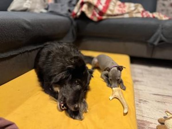 NOTFALL Coffee sucht zuhause