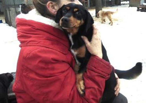 Clip liebt die Menschen