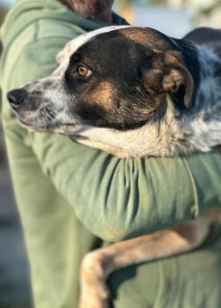 Jorek, der Geduldige 🐾