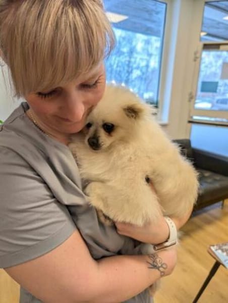 Mini sucht ein liebevolles Zuhause