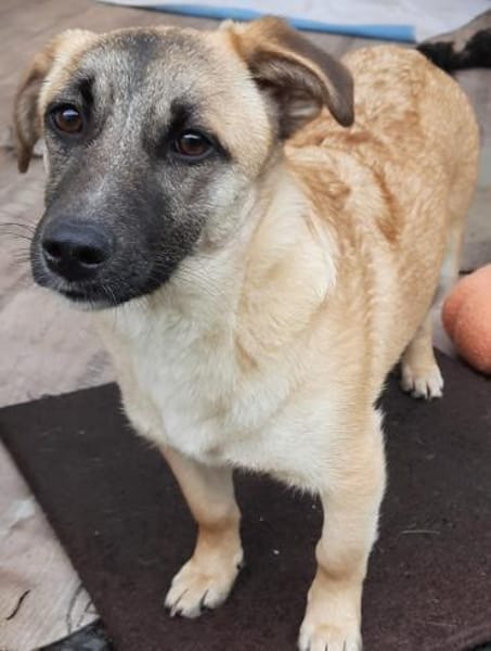 🌸 Violet  6 Monate  kleines Mädchen