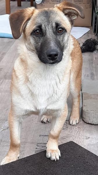 🌸 Violet  6 Monate  kleines Mädchen