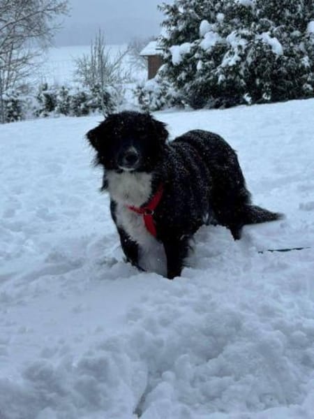 hübsche Tala auf PS in 92685