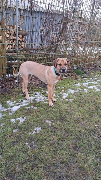 Mimika - einfach dankbar