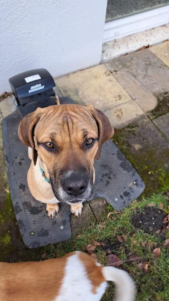 Mimika - einfach dankbar