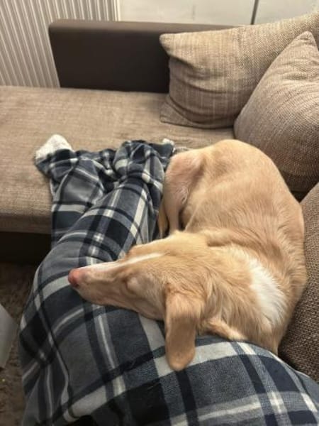 Feinfühliger CREAM sucht DRINGEND ‼🆘