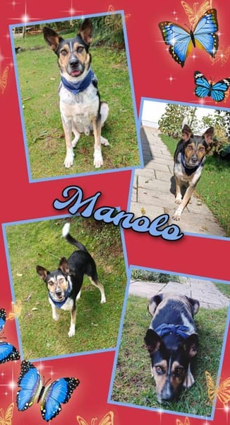 Manolo wartet in München!