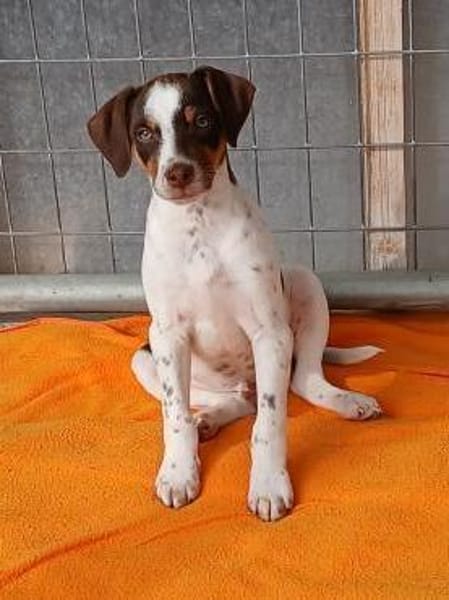 Oskar wartet auf seinen Familie