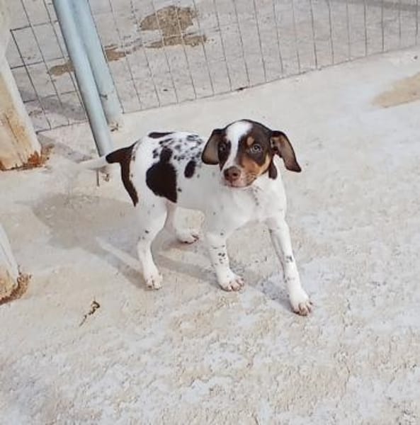 Oskar wartet auf seinen Familie