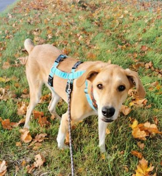 MARRY * sensible Seele sucht Halt