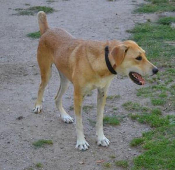 MARRY * sensible Seele sucht Halt