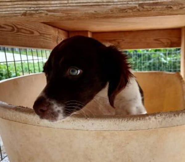 Moly wünscht sich einen Familie