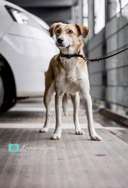 ELISA * liebenswerte Spezialistin