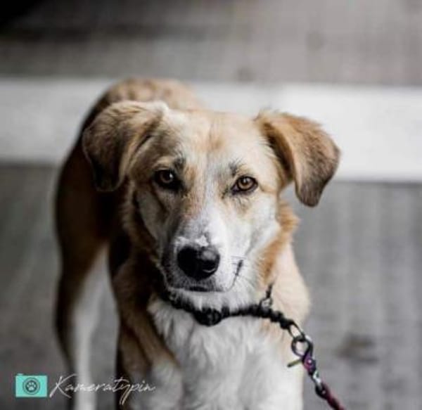 ELISA * liebenswerte Spezialistin