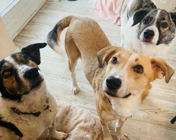 ELISA * liebenswerte Spezialistin