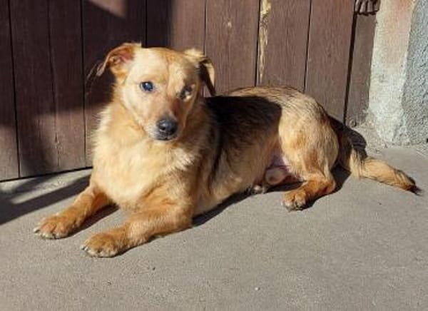 MÄXCHEN * sieht mit dem Herzen